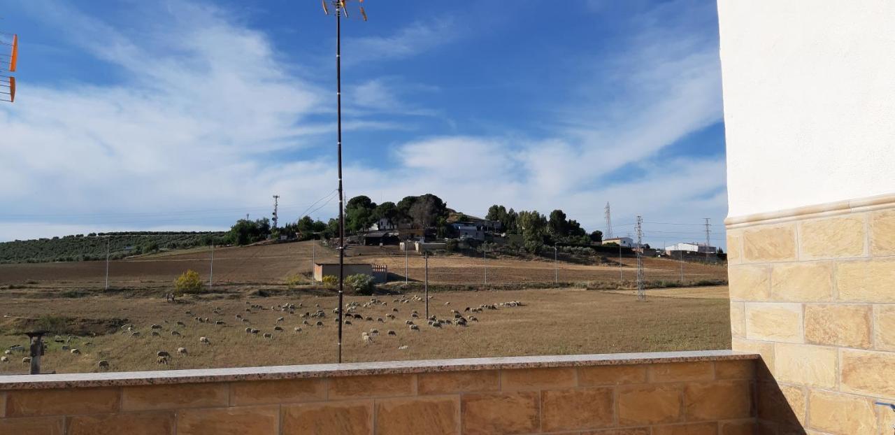 Piso La Buganvilla Bailén Exterior foto