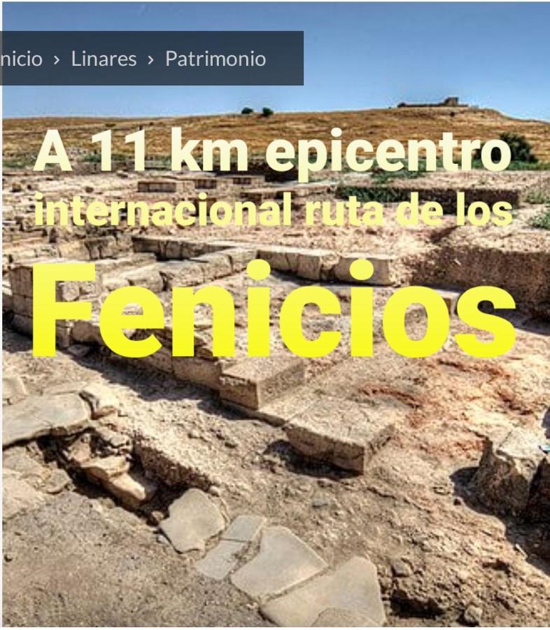 Piso La Buganvilla Bailén Exterior foto